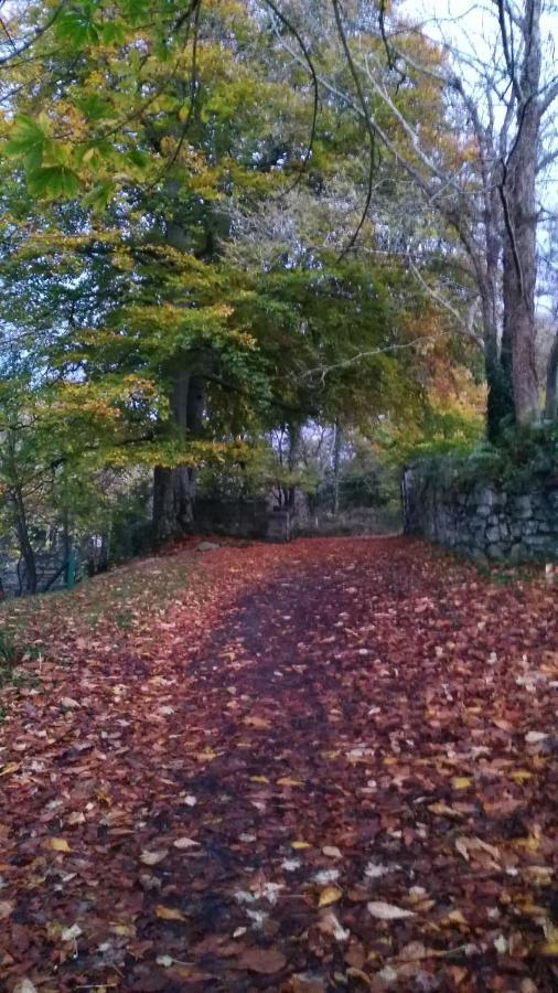 Апартаменты Mill Lane Банкрана Экстерьер фото
